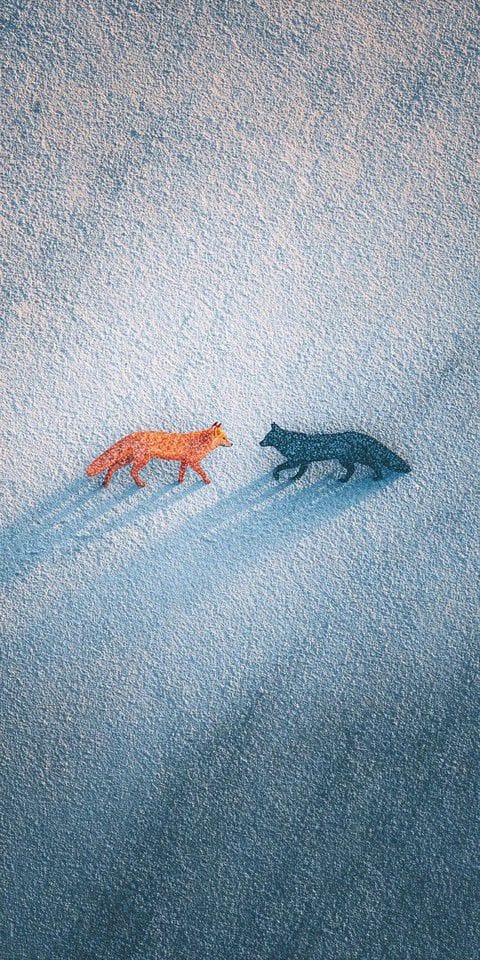 — What Red‑Pill Content Is Really Teaching